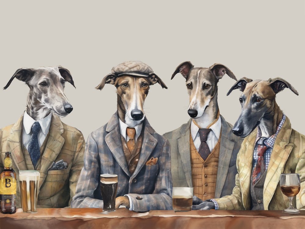 Greyhound Party