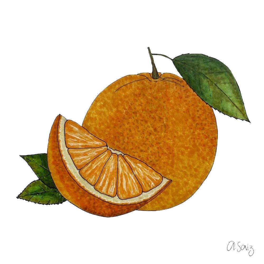 Oranges