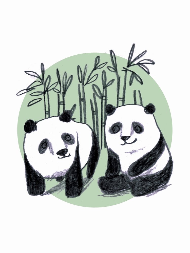 Panda Friends