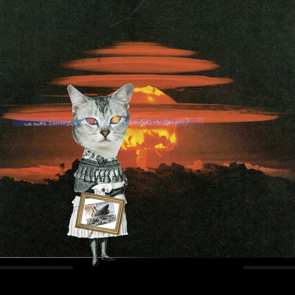 Catomania, The Seven Lives Of A Cat, Number Seven Square