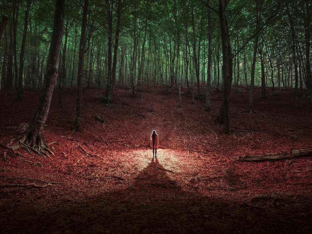 Quien Se Conoce Bien