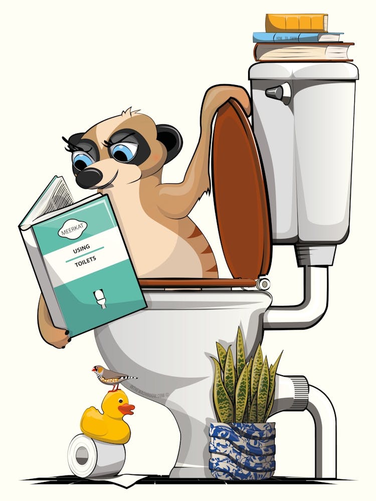 Suricate dans les Toilettes