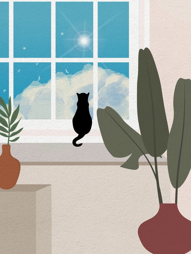 Cat 2 3x4
