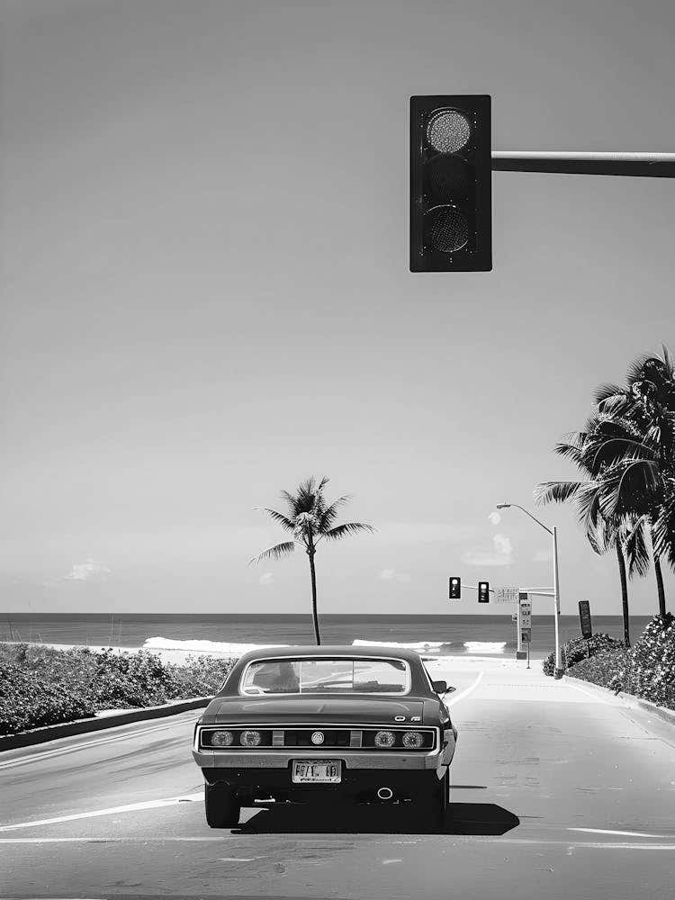 Black And White Photo 8