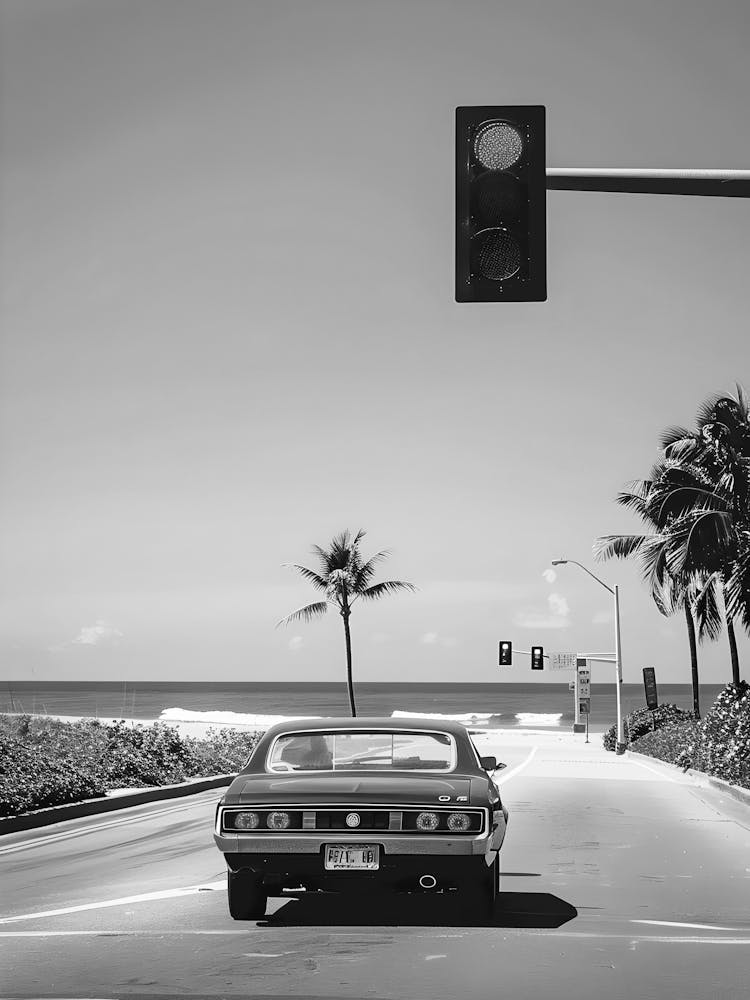 Black And White Photo 8