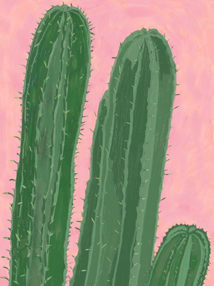 Green Cactus