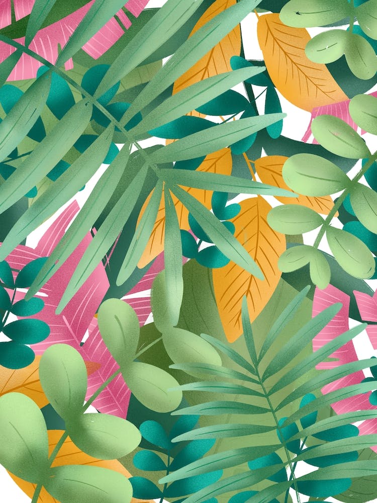 Feuilles tropicales