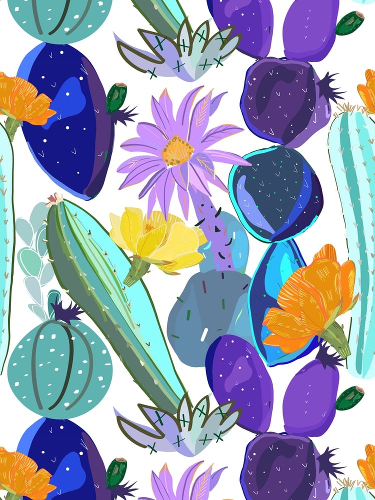 Cactus And Succulents 