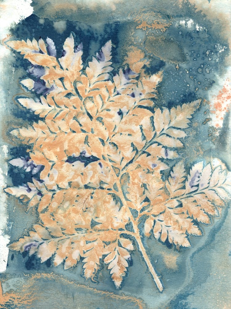 Botany Blue 1