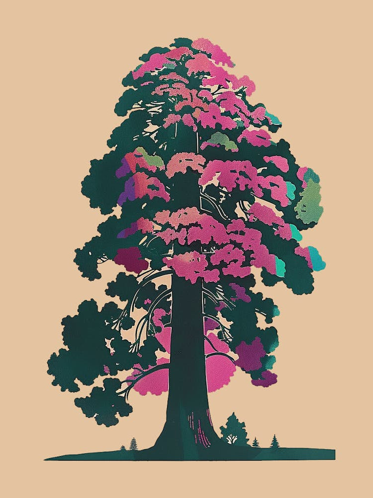 Sequoia Tree Colourful Illustration 1