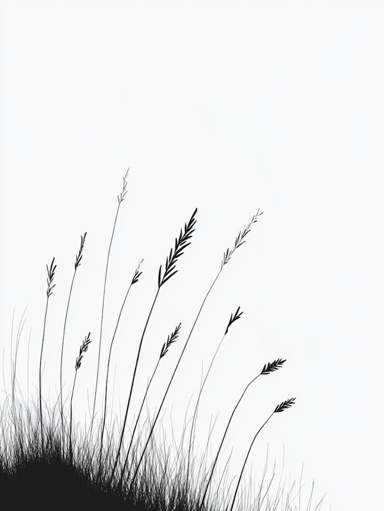 Black And White Grass
