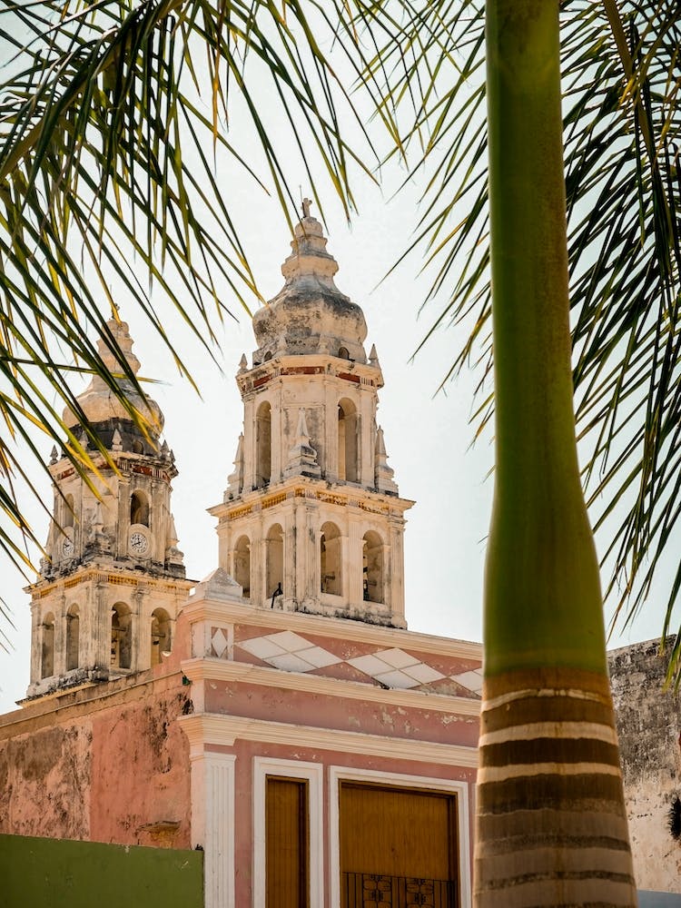 Church And Palm In Campeche Mexico