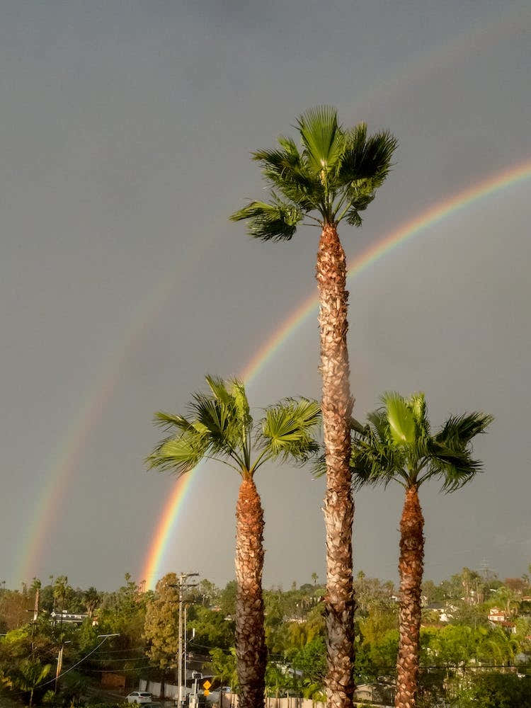 Double Rainbow.
