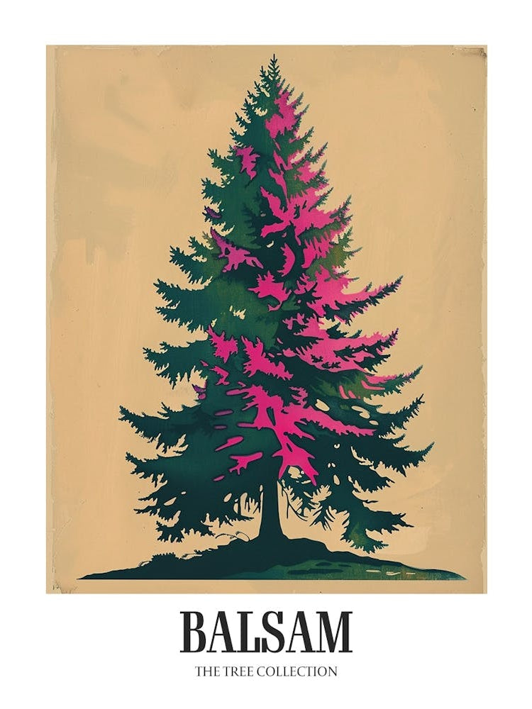 Balsam Tree Colourful Illustration 4 Poster