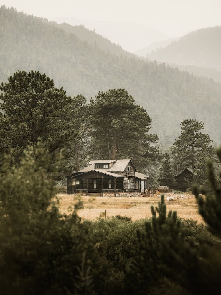 Cabin In The Woods