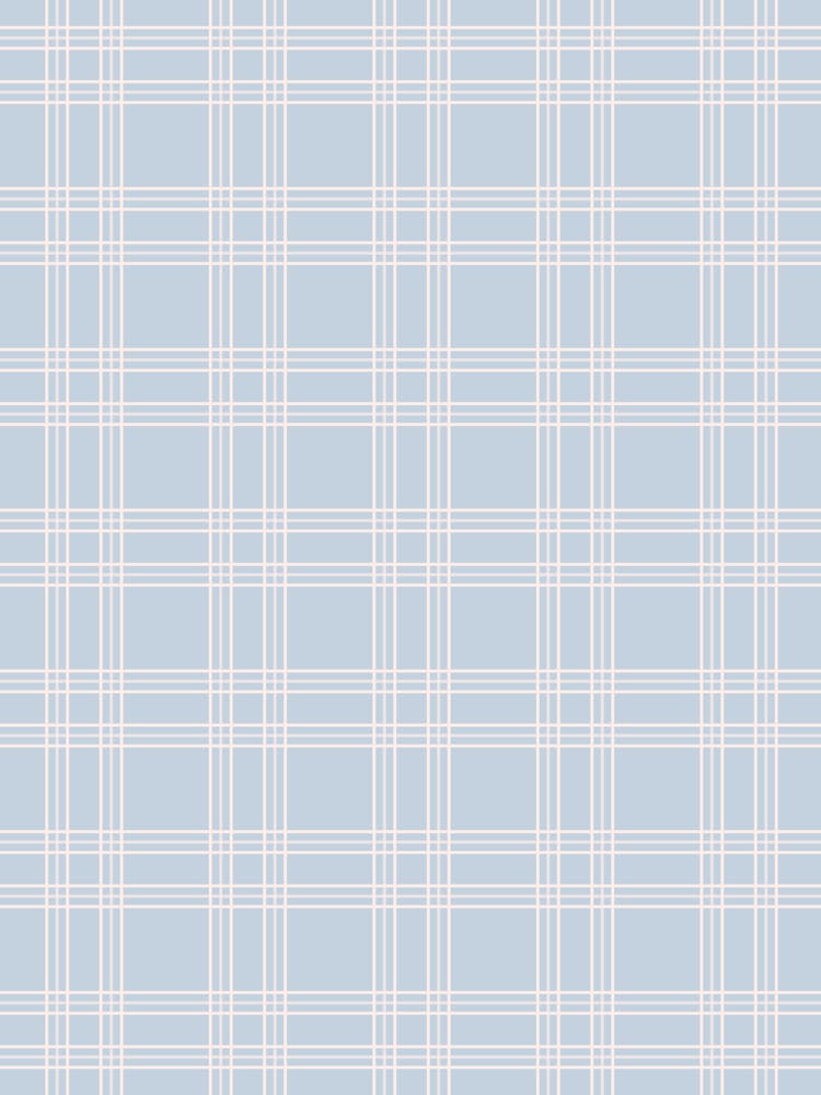 Pastel Blue Gingham