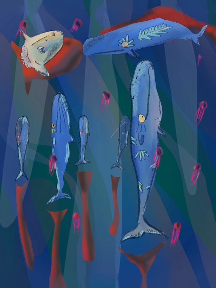 Whales In The Sea