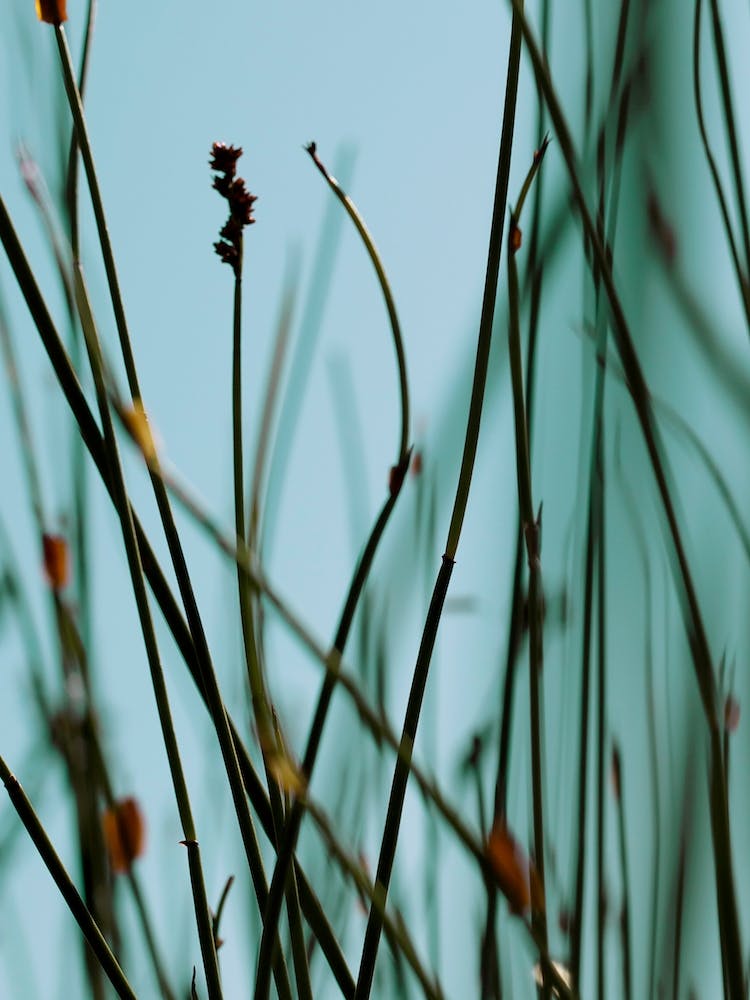 Destination Rotterdam