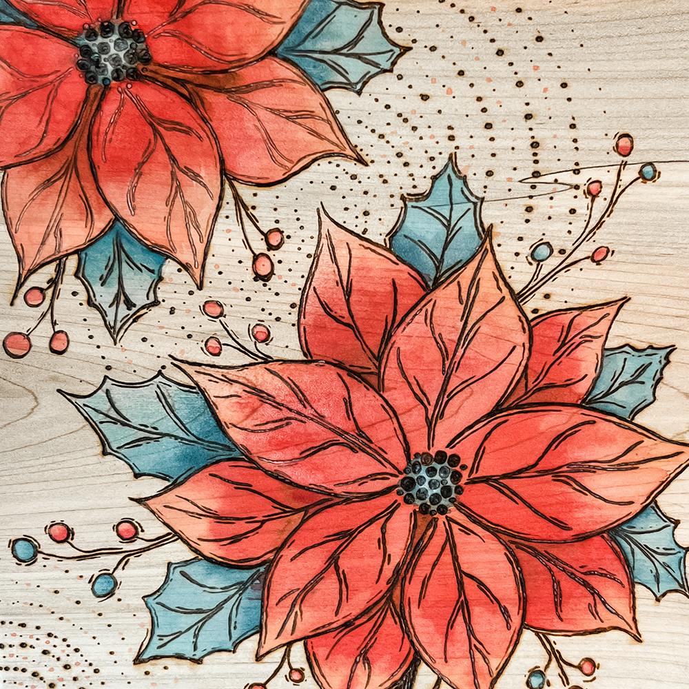 Poinsettia