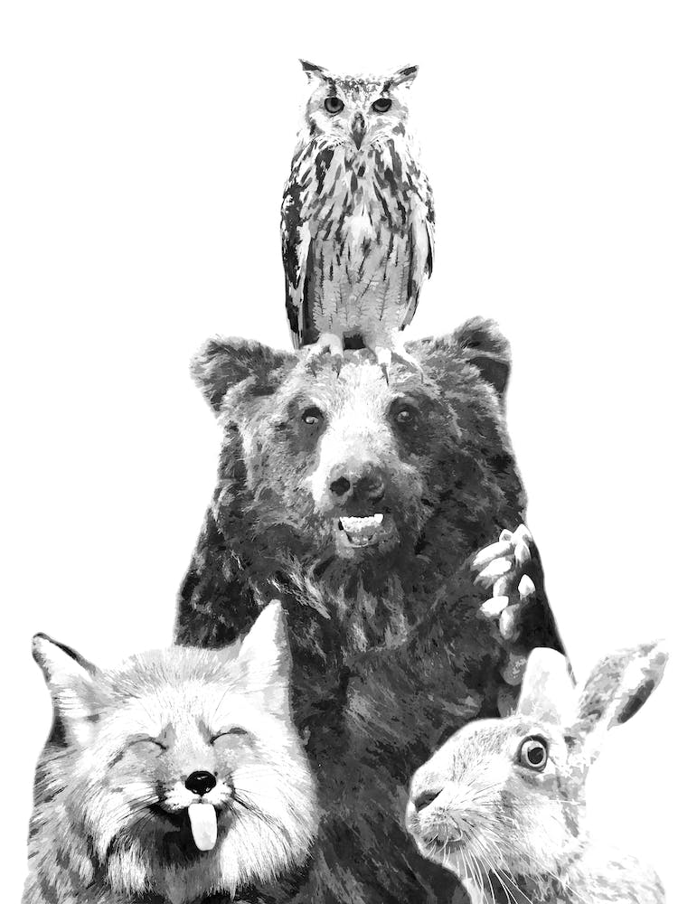 Black and White Cute Woodland Animals
