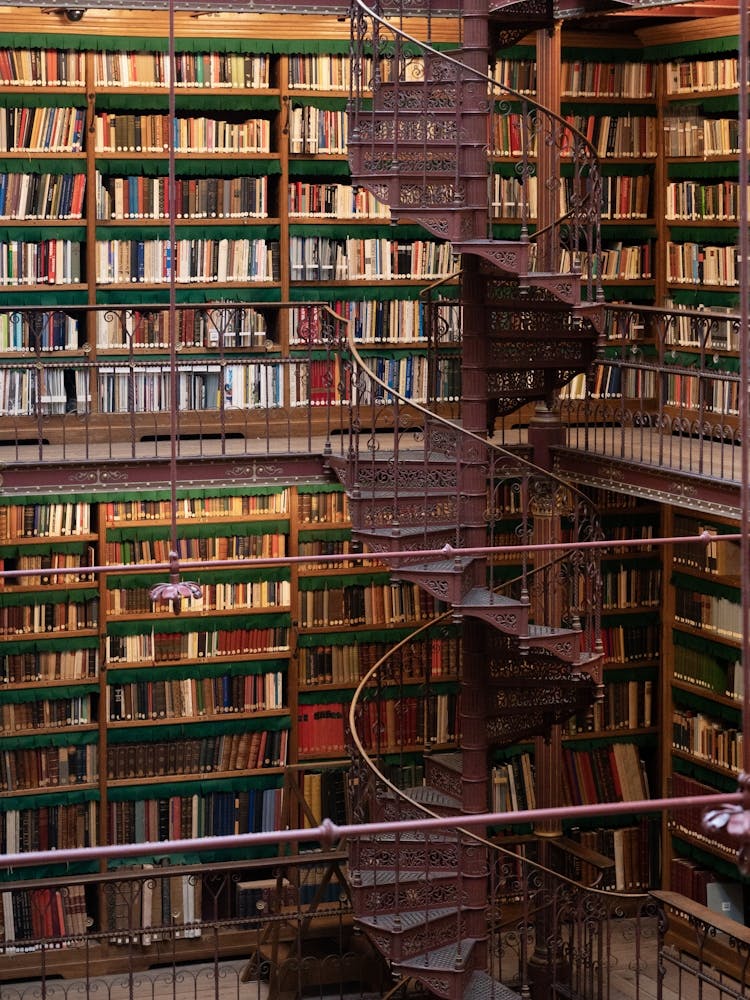 Historical art library at the Rijksmuseum in Amsterdam - art books and architecture photography by Christa Stroo Photography