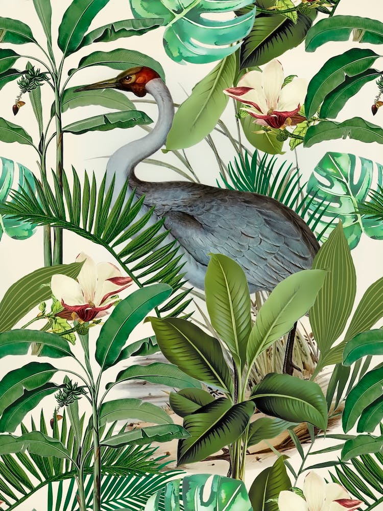 Tropical Heron