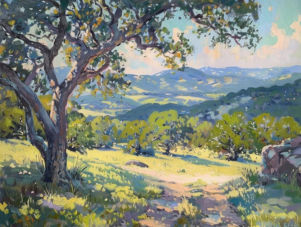 Western Landscapes Texas Hill Country 2