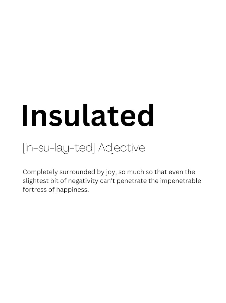 Insulated Definition Meaning