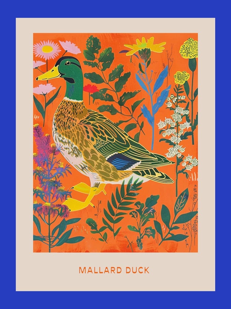 Spring Birds Poster Mallard Duck 3
