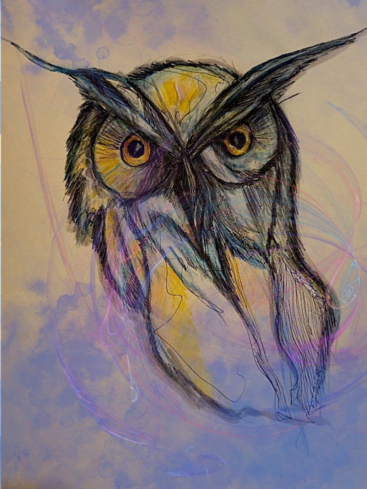 Blue owl 1