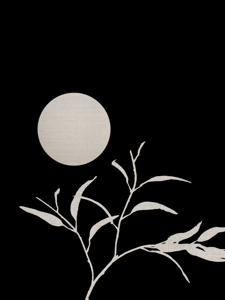 Moon & Leaf