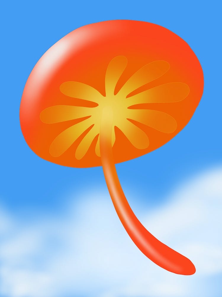 In Air - Mushroom