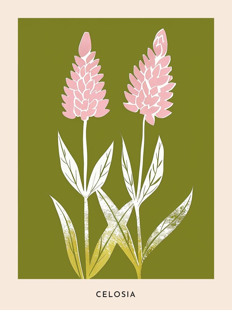 Pink & Green Celosia 2 Flower Poster