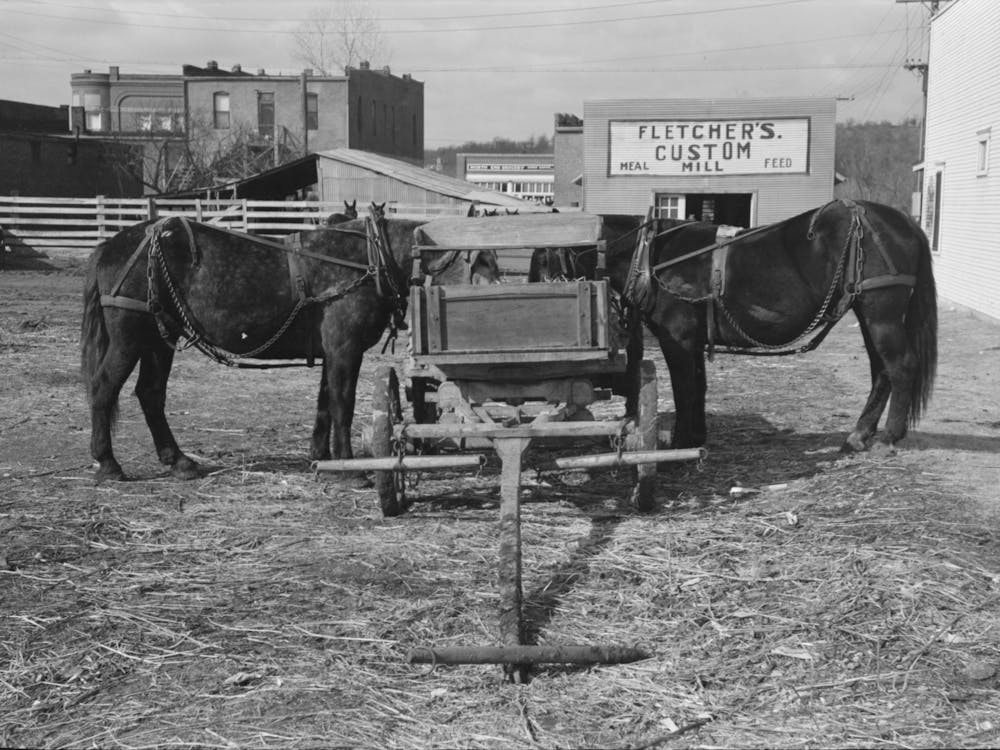 Mules Hitched To Wagon While Farmer Attends To His Business In Town, Eufaula, Oklahoma By Russell Lee