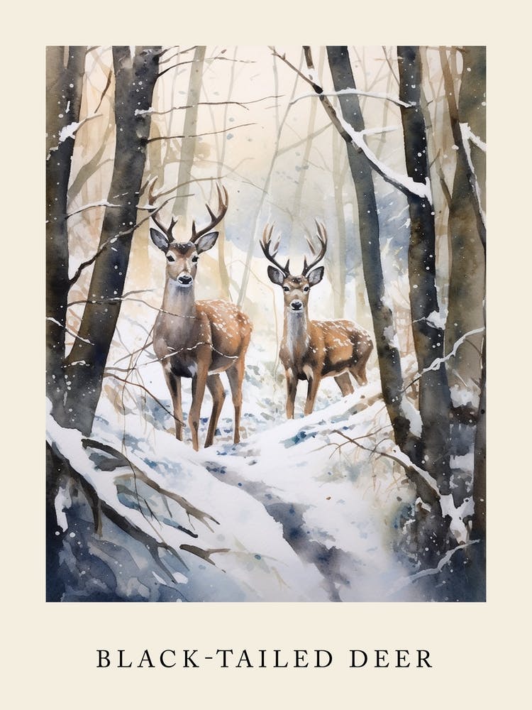 Winter Watercolour Black Tailed Deer Poster