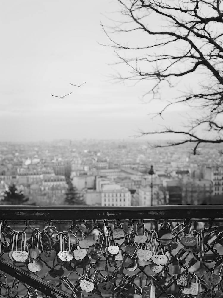 Paris In Love Locks