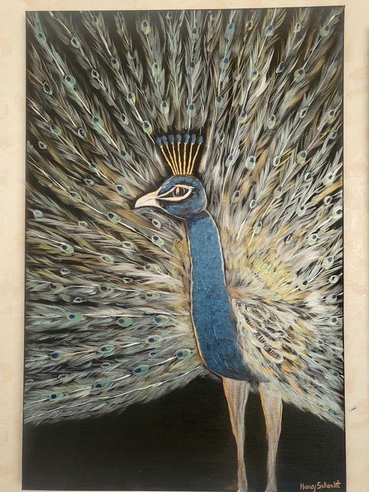 Peacock 3