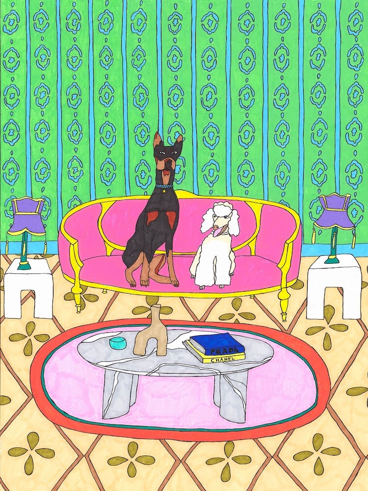 Owners Of The House