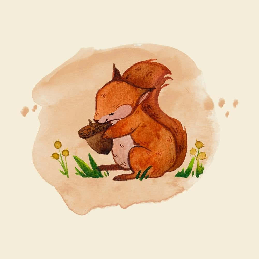 Squirrel In The Woods