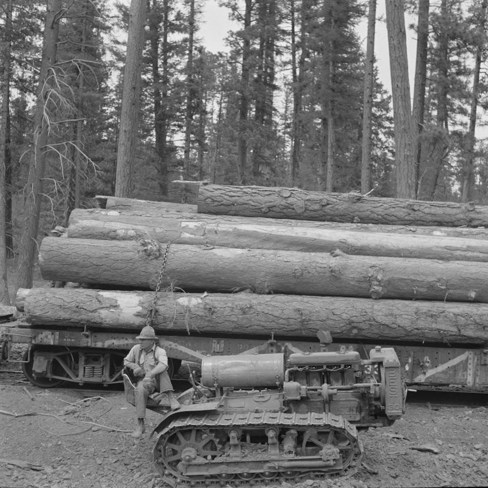 Untitled Photo, Possibly Related To Grant County,Oregon, Malheur National Forest, Caterpillar Tractor And Logs By