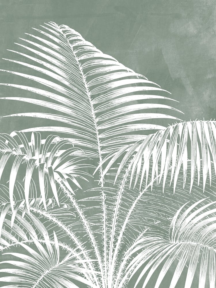 Palm Tree Leaves in Sage Green, Tropical Botanical 1