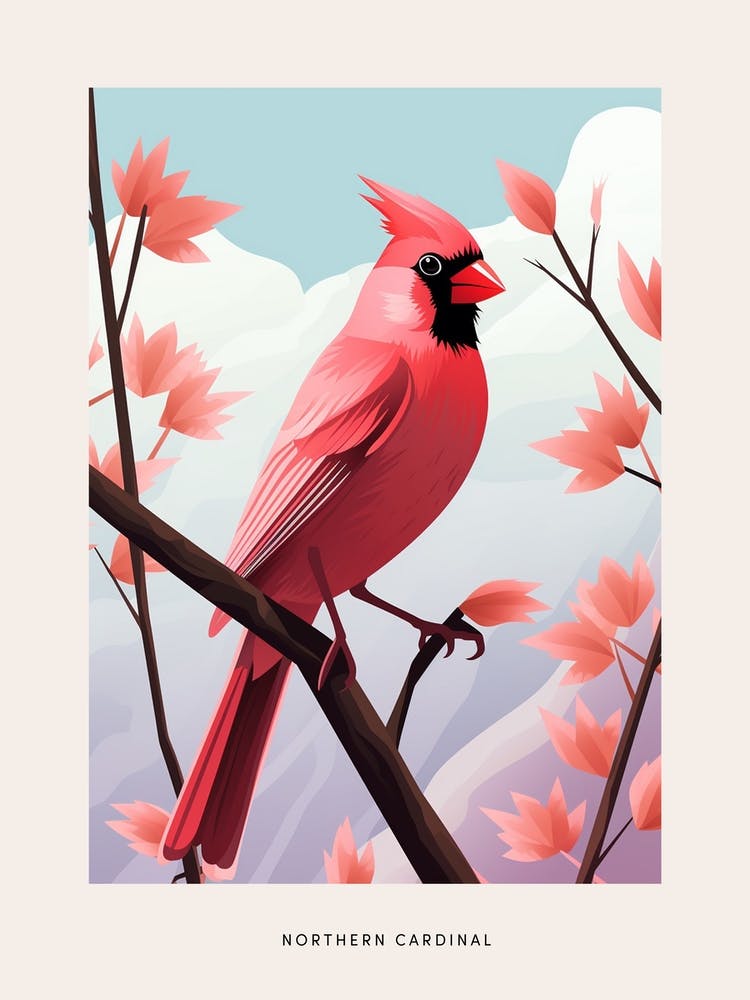 Minimalist Northern Cardinal 3 Bird Poster