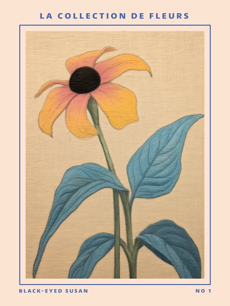Black Eyed Susan French Flower Botanical Poster