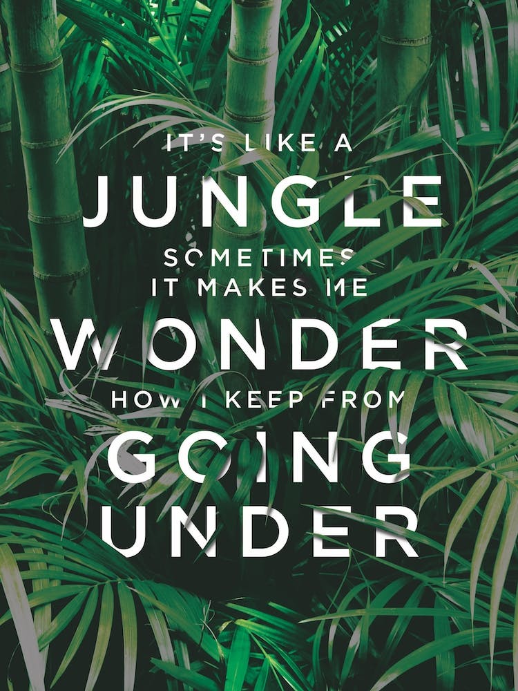 Jungle
