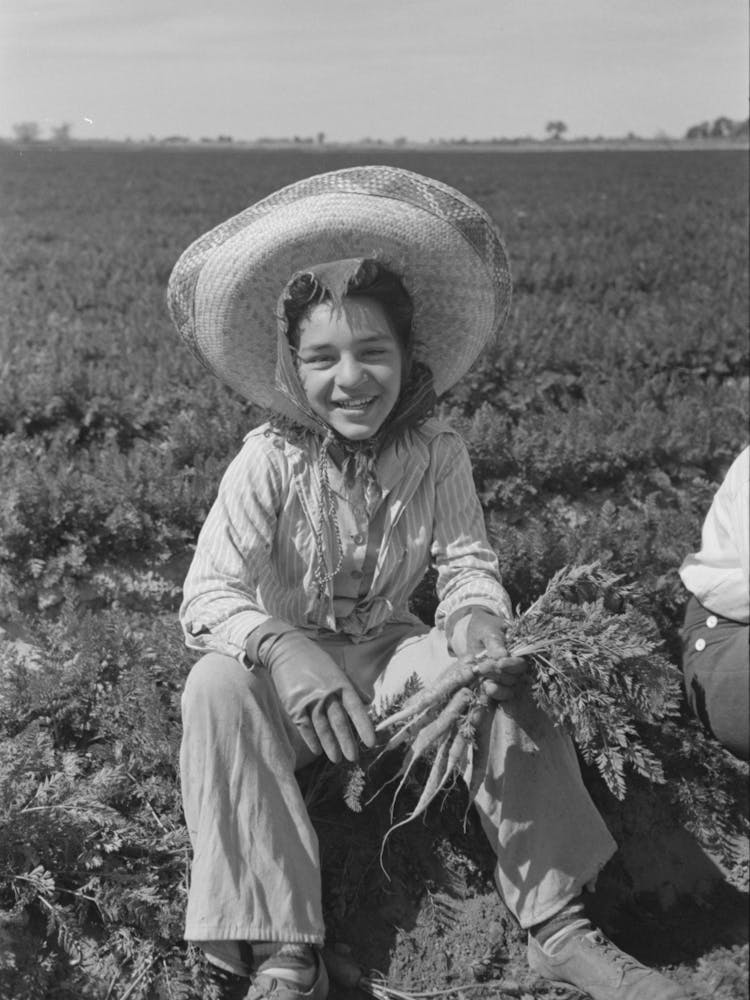 Untitled Photo, Possibly Related To Agricultural Worker In The Carrot Field, Yuma County, Arizona By Russell Lee