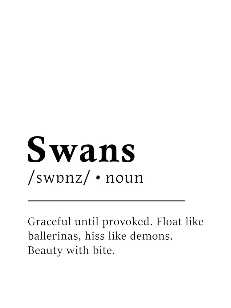 Swans Definition Poster - Dictionary