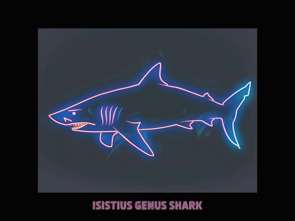 Neon Pink Isistius Genus Shark Poster 4