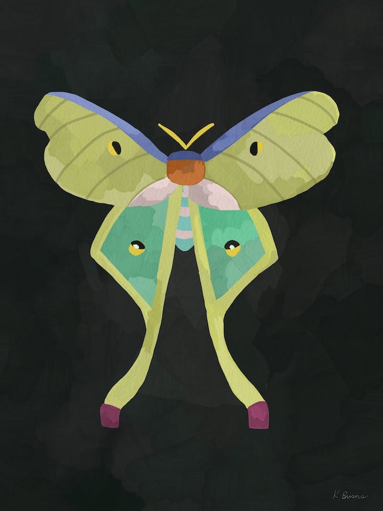Green Moth