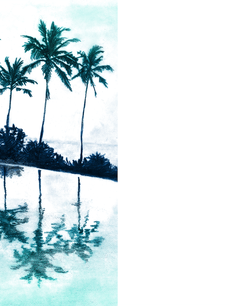 Palm Tree Reflections Teal
