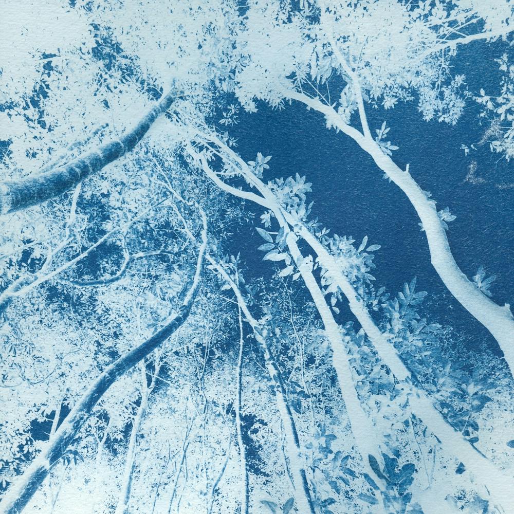 Nothing Stays The Same